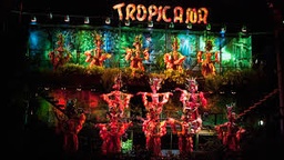 CABARET TROPICANA EN OFERTA ESTÁNDAR (PRIVADO)